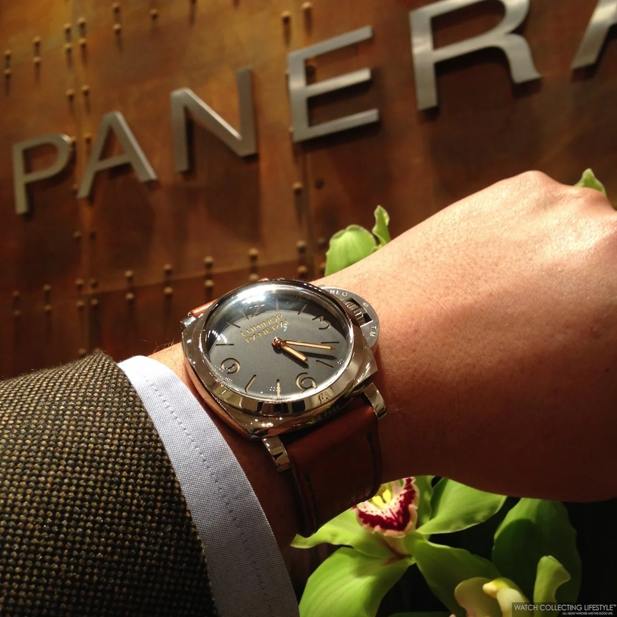 Panerai pavilion hotsell